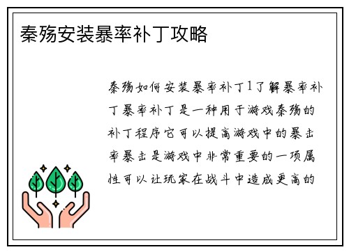 秦殇安装暴率补丁攻略